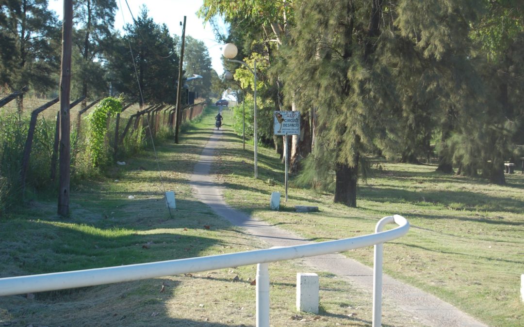 MAYOR SEGURIDAD VIAL