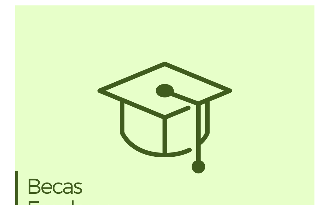 BECAS: APOYANDO LA EDUCACIÓN Y FORMACIÓN