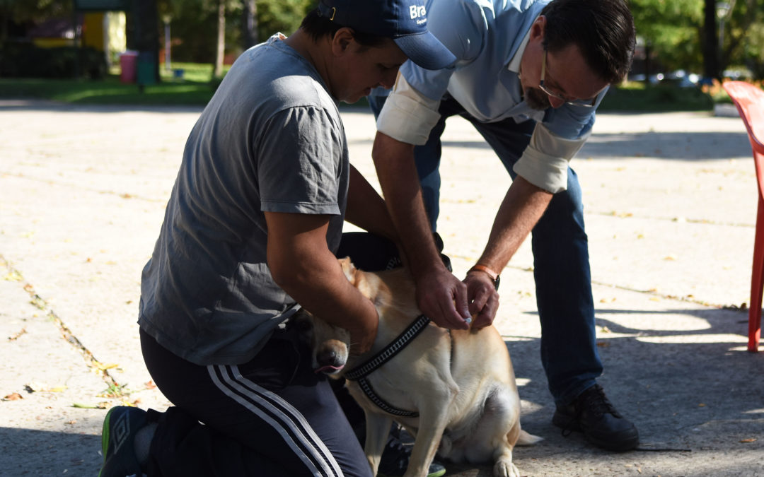 Salud Animal: Vacunación y Quirófano