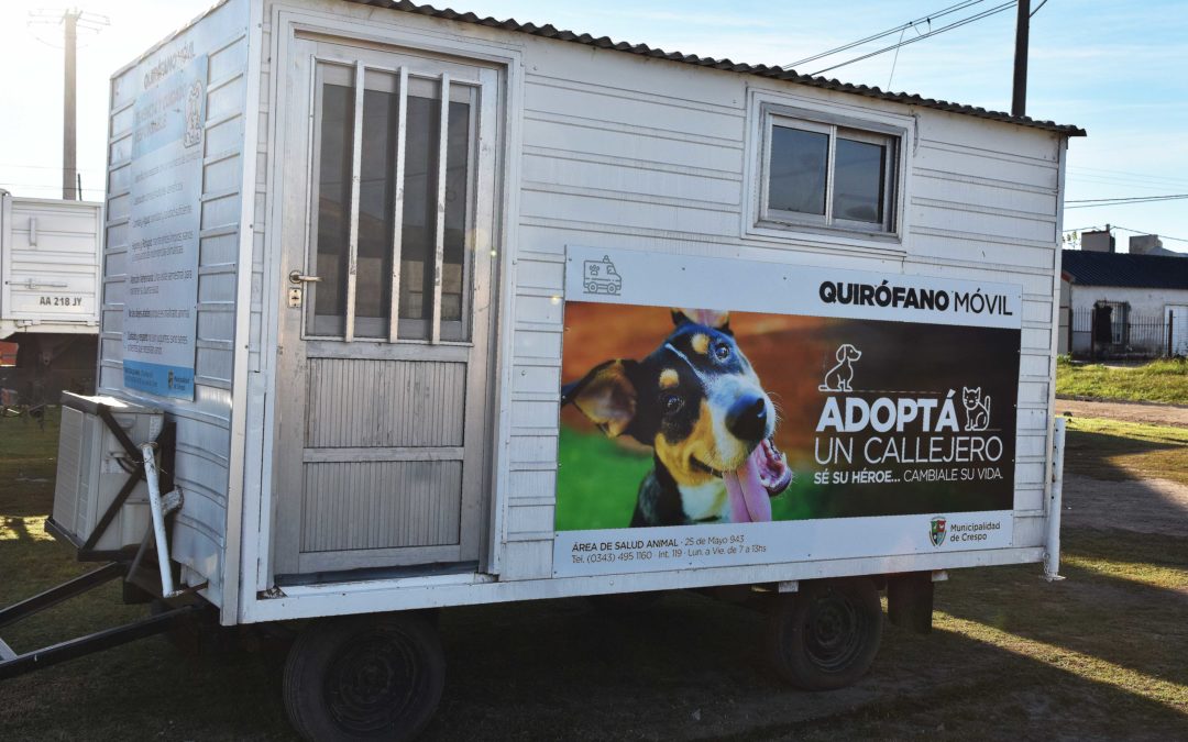 SALUD ANIMAL: ENTREGA DE TURNOS POR TELÉFONO PARA ATENCIÓN EN EL MÓVIL DE CASTRACIÓN