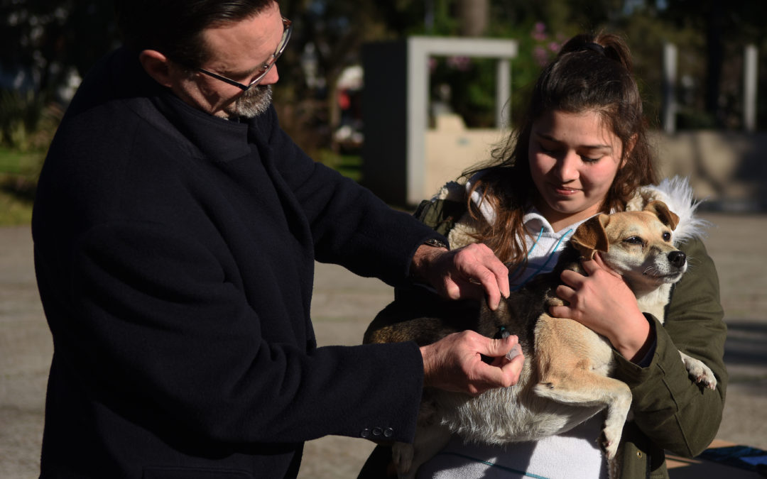 SALUD ANIMAL: VACUNACIÓN ANTIRRÁBICA