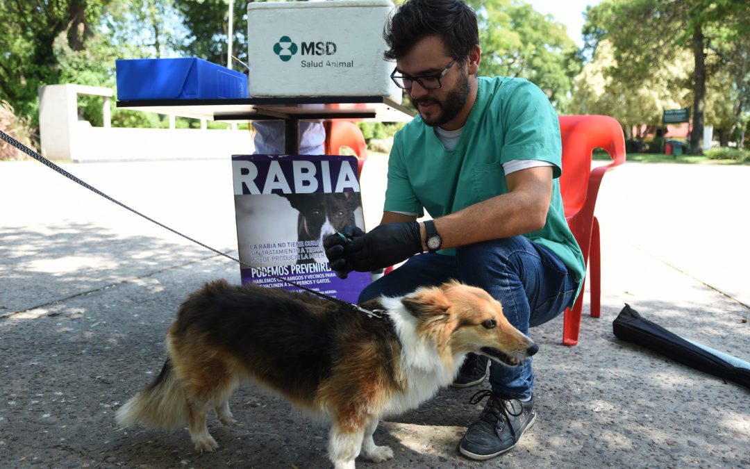 LA VACUNACIÓN ANTIRRÁBICA LLEGA A LOS BARRIOS