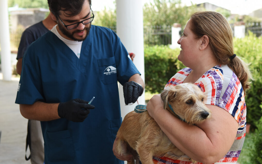 EN JUNIO RETORNARÁ LA CAMPAÑA DE VACUNACIÓN ANTIRRÁBICA PARA PERROS Y GATOS EN LOS BARRIOS