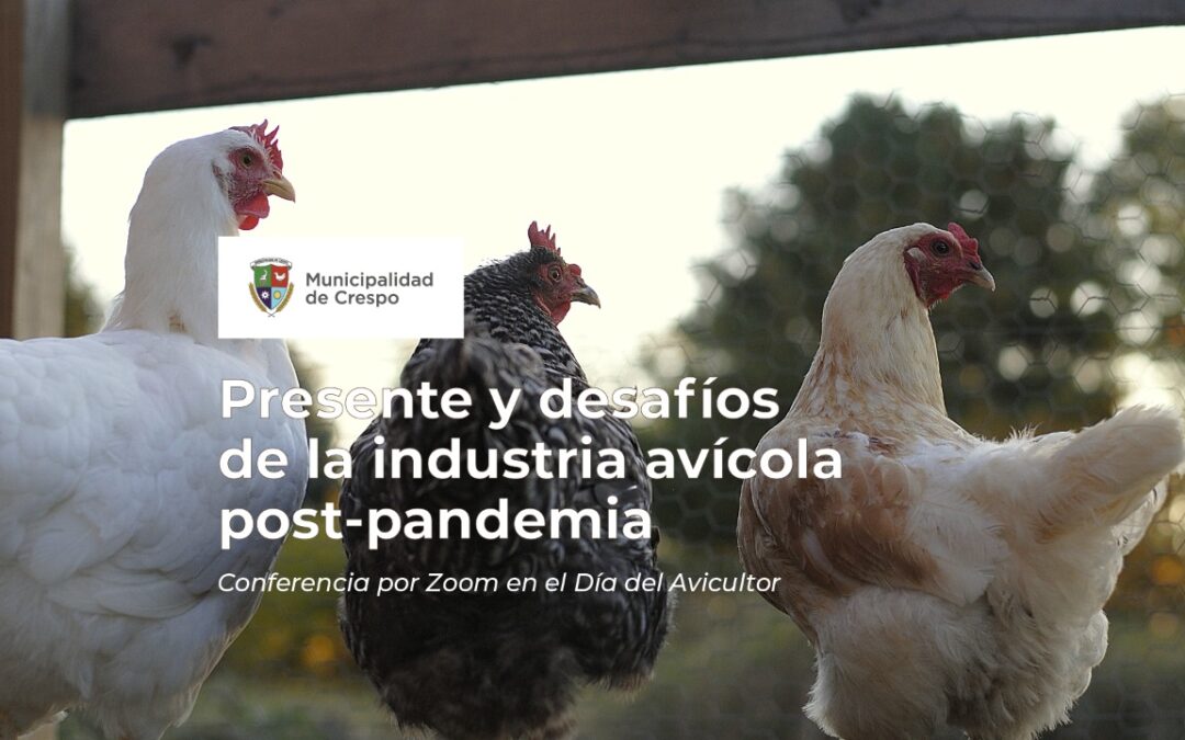 EL MUNICIPIO ORGANIZA UNA CONFERENCIA POR ZOOM SOBRE EL ‘PRESENTE Y DESAFÍOS DE LA INDUSTRIA AVÍCOLA POST-PANDEMIA’