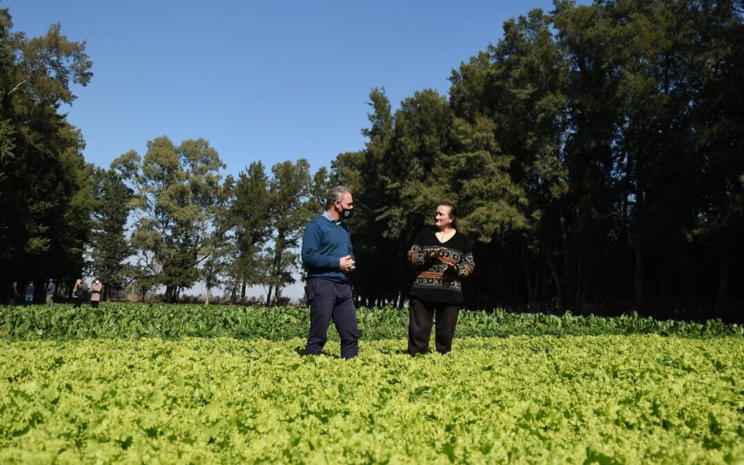 SE COSECHARÁN MÁS DE 1000 KILOGRAMOS DE VERDURAS EN LA HUERTA AGROECOLÓGICA DEL PARQUE LOS PARAÍSOS