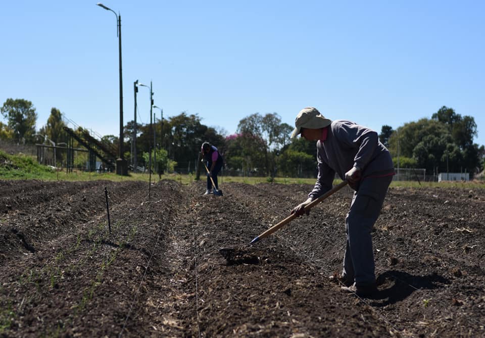 DIEZ FAMILIAS COMENZARON EL SEGUNDO PROYECTO DE HUERTA AGROECOLÓGICA EN CRESPO