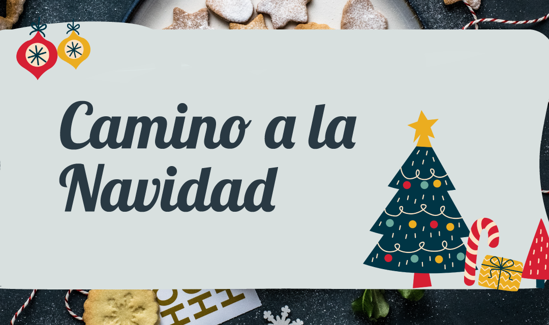 CAMINO A LA NAVIDAD