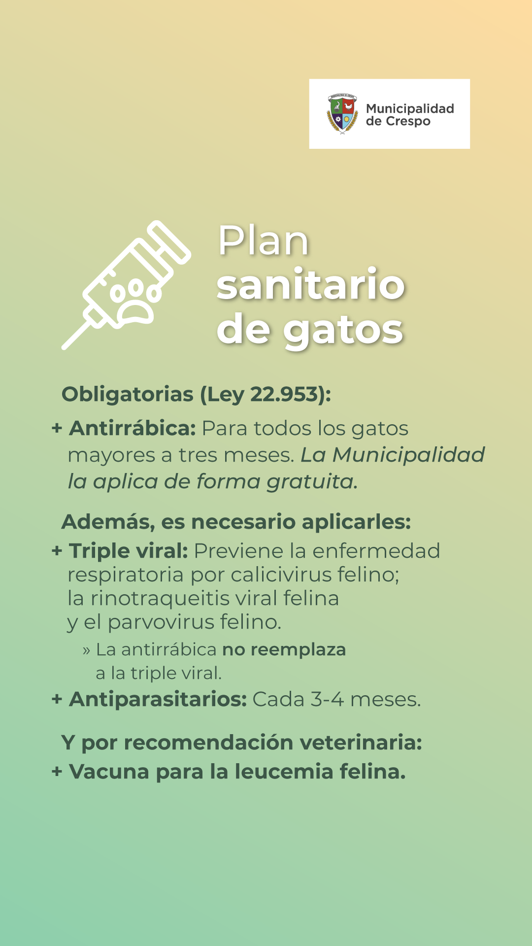 Imagen sobre plan sanitario de gatos