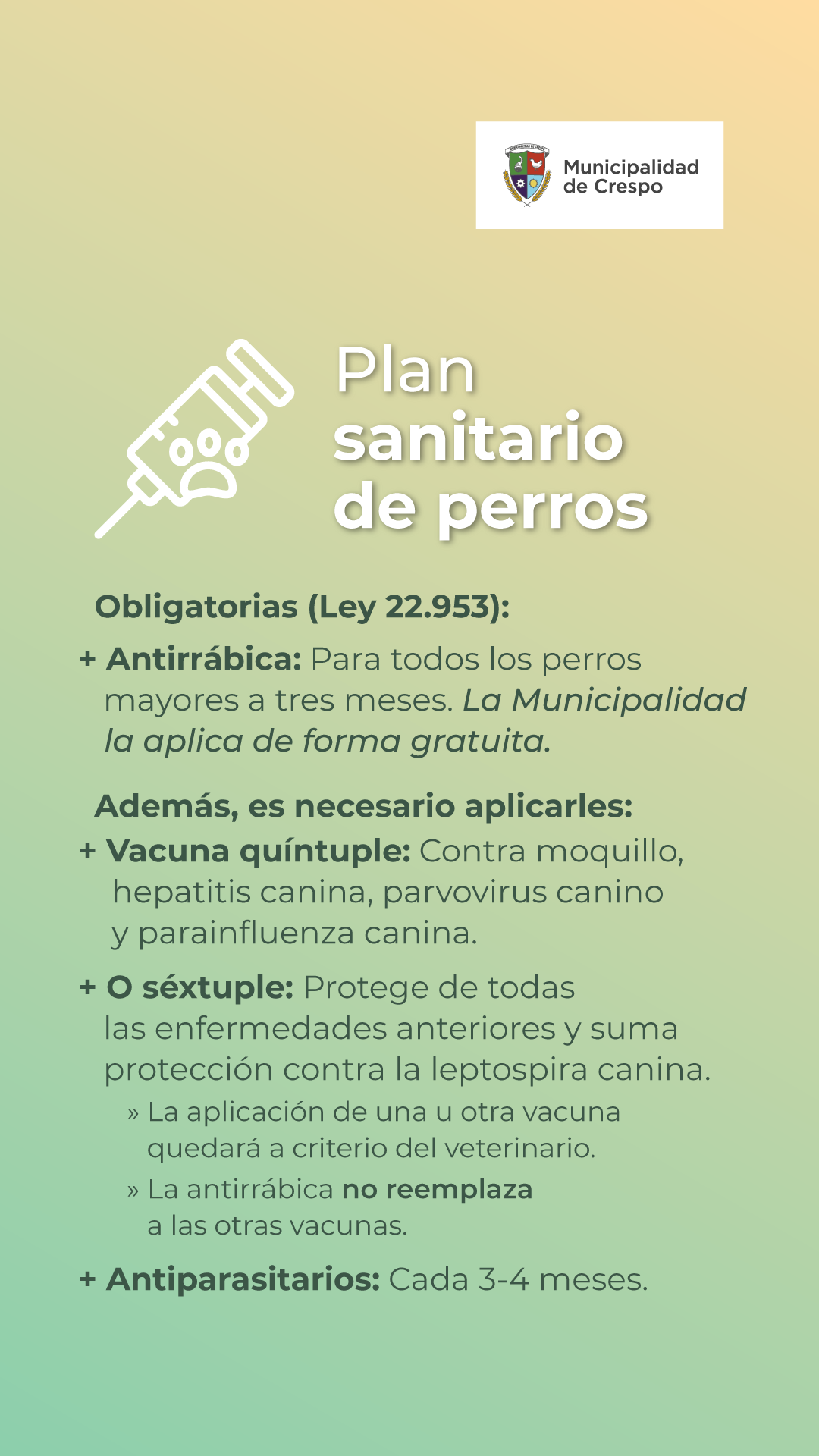 Imagen sobre plan sanitario de perros