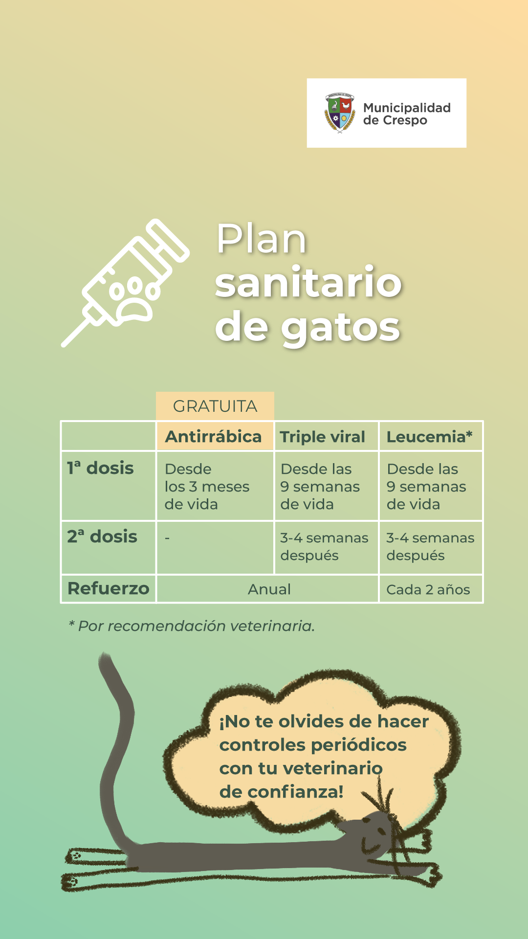 Imagen sobre plan sanitario de gatos