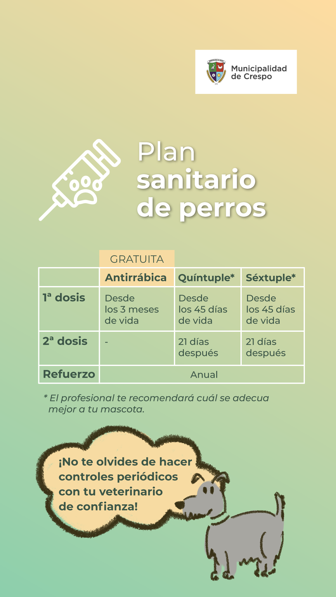 Imagen sobre plan sanitario de perros