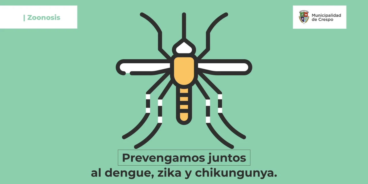 RECAUDOS PARA PREVENIR EL DENGUE