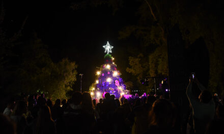 EL ÁRBOL NAVIDEÑO REPRESENTA EL TRABAJO, COMPROMISO Y LA SOLIDARIDAD DE TODOS LOS CRESPENSES