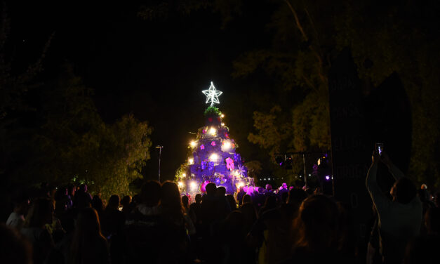 EL ÁRBOL NAVIDEÑO REPRESENTA EL TRABAJO, COMPROMISO Y LA SOLIDARIDAD DE TODOS LOS CRESPENSES