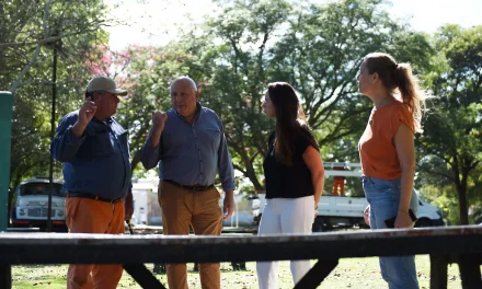 trabajos de revalorización en el parque del sol